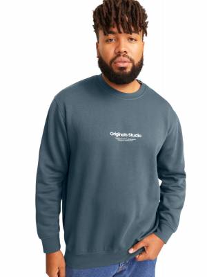 JACK&JONES felpa felpata taglie forti uomo 12248198